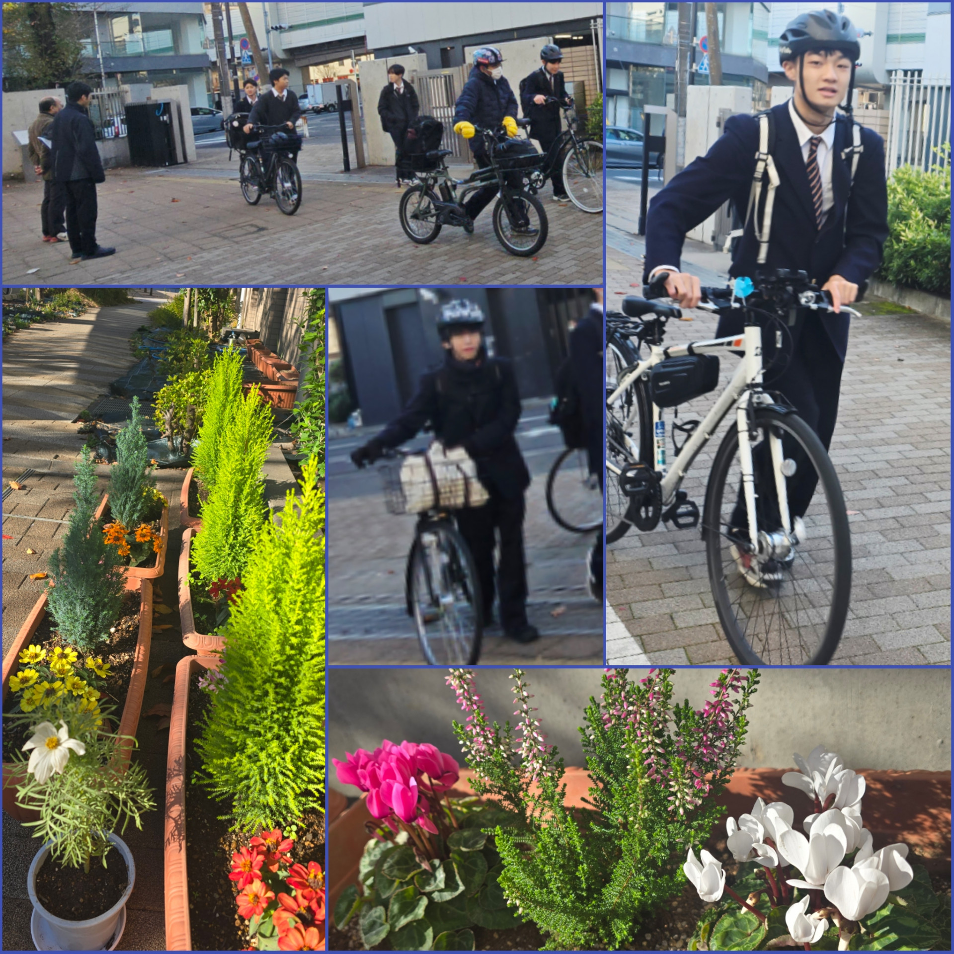 PhotoCollage_1762907181768