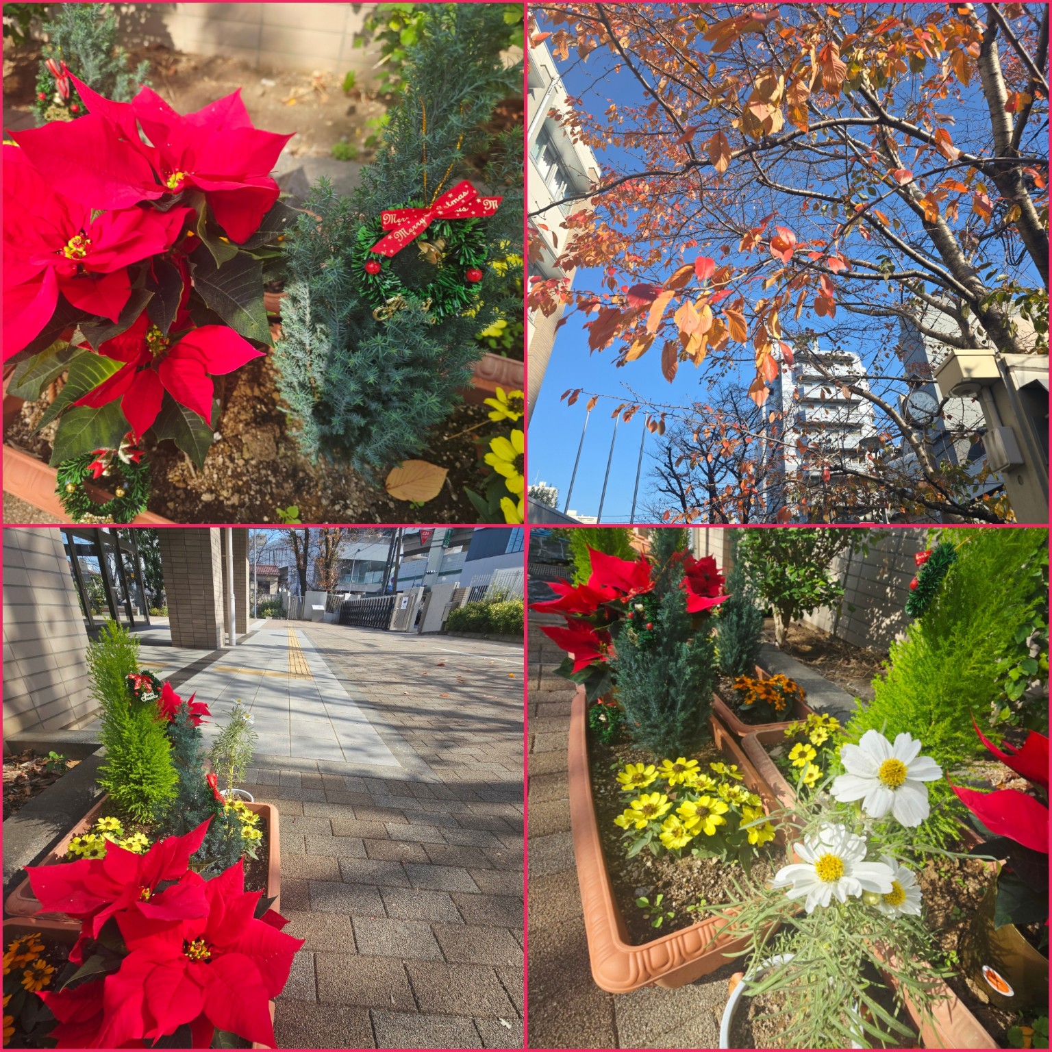 PhotoCollage_1764735508461_copy_1536x1536