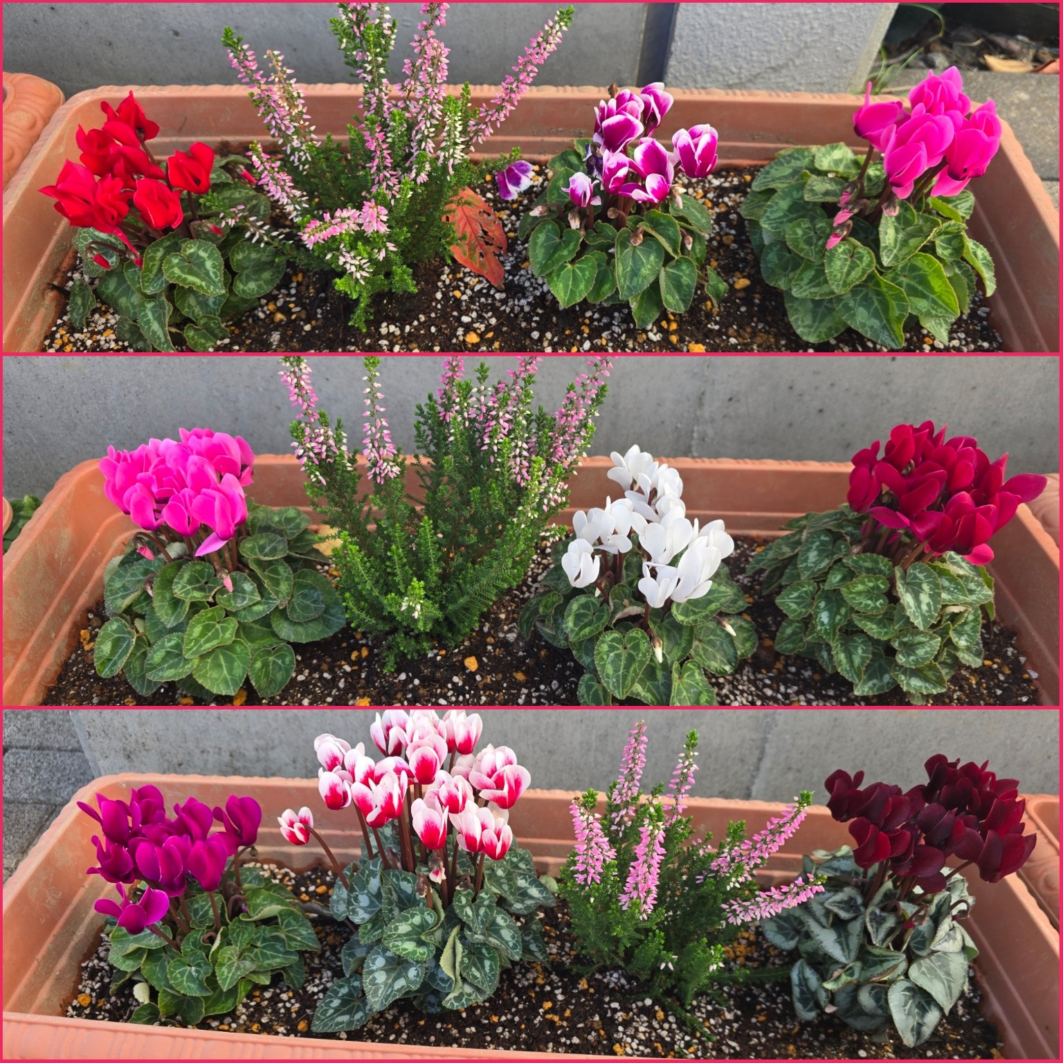 PhotoCollage_1764735646345_copy_1536x1536