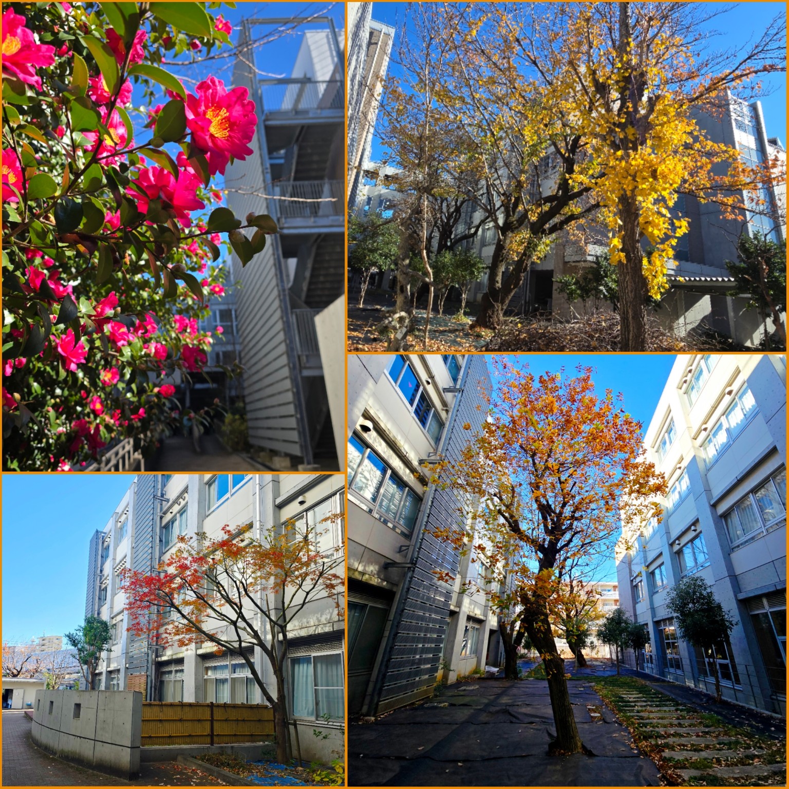 PhotoCollage_1766044872703_copy_1536x1536