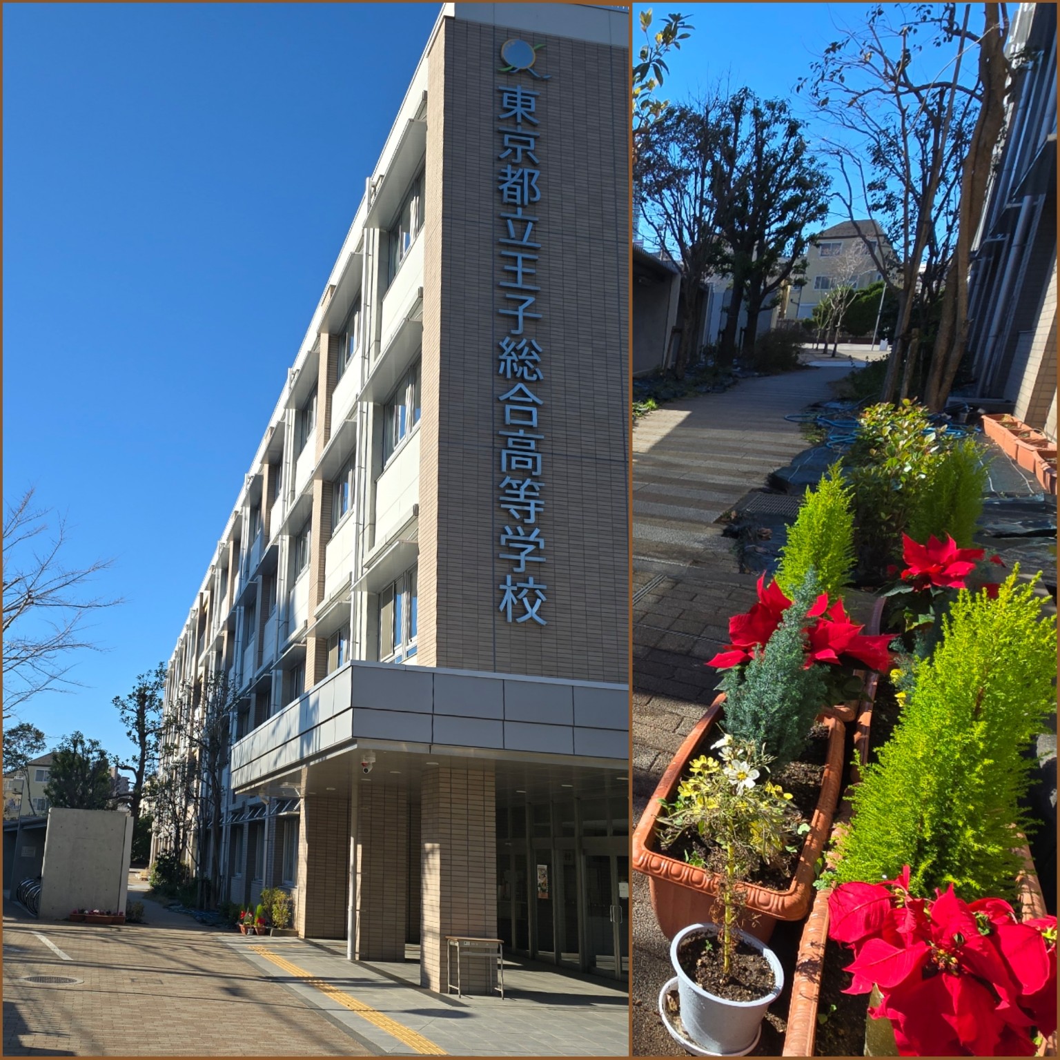 PhotoCollage_1767240626875_copy_1536x1536