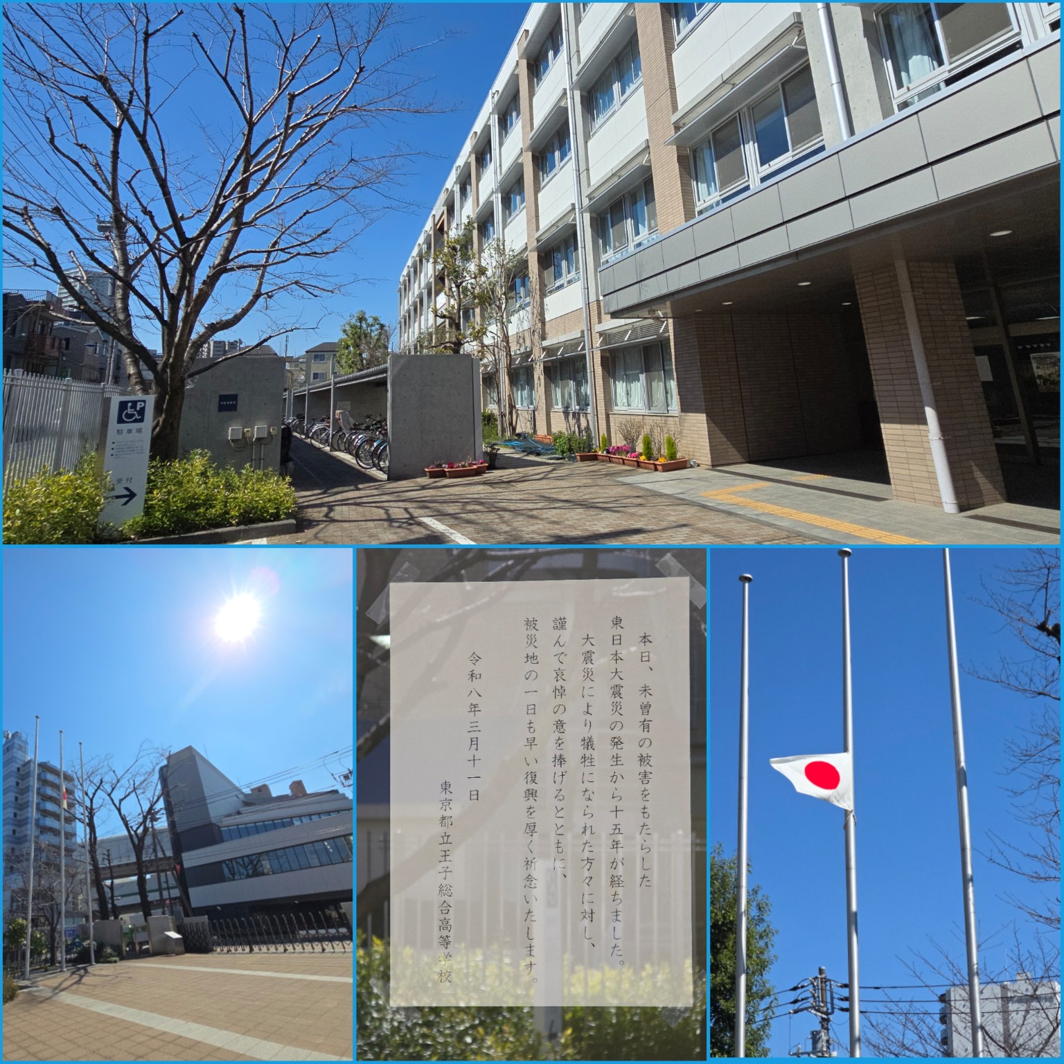 PhotoCollage_1773470062653_copy_1536x1536