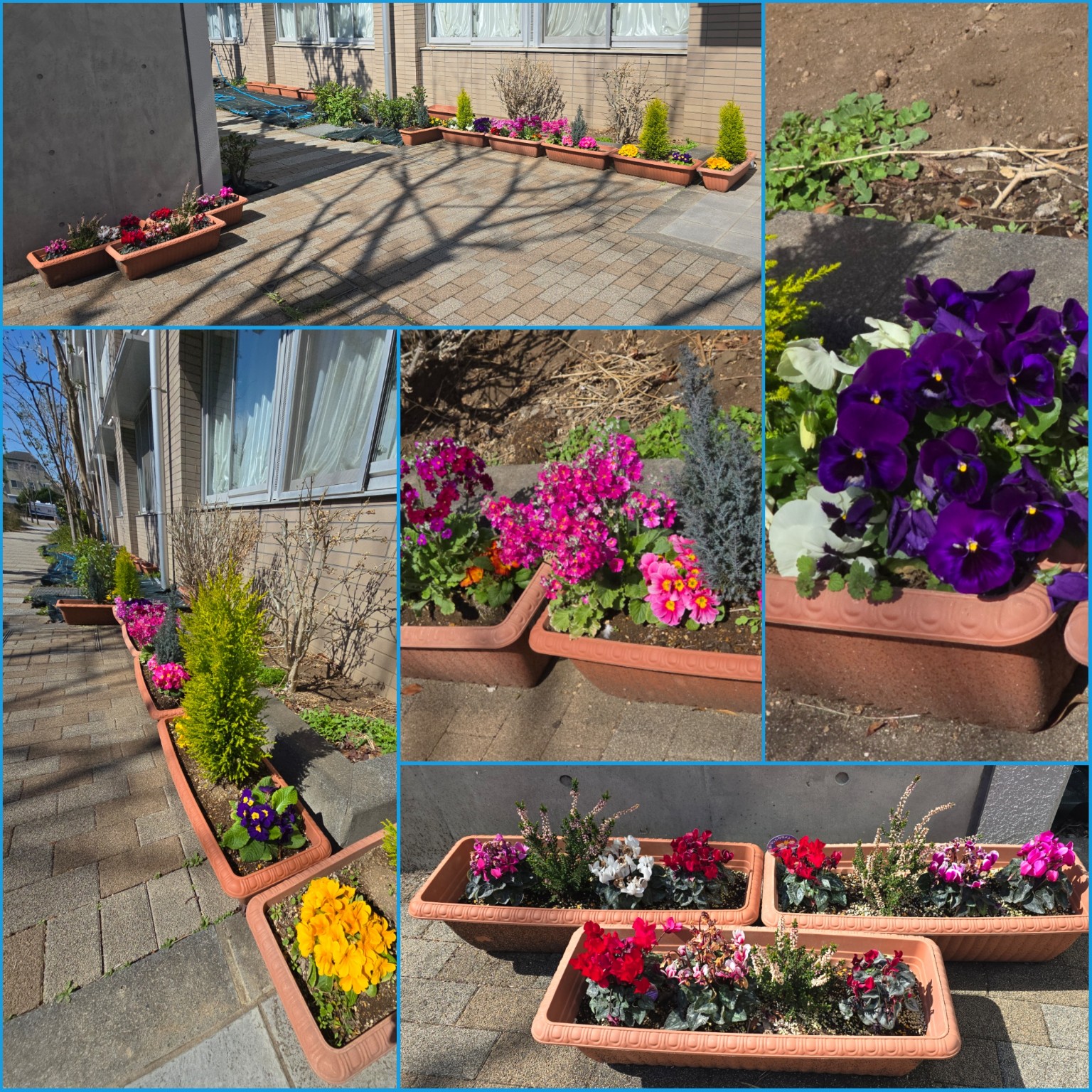 PhotoCollage_1773470241943_copy_1536x1536