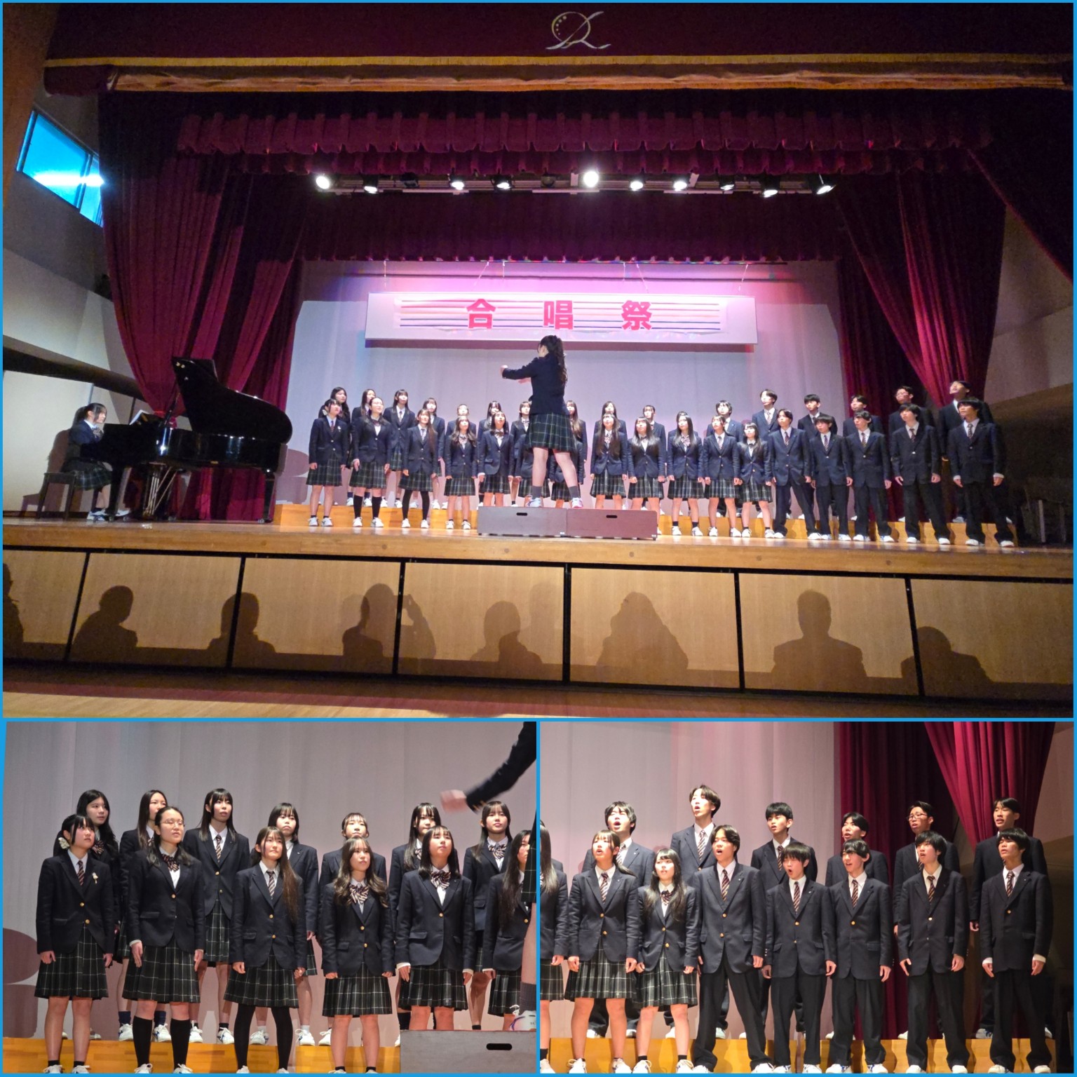 PhotoCollage_1773785569744_copy_1536x1536