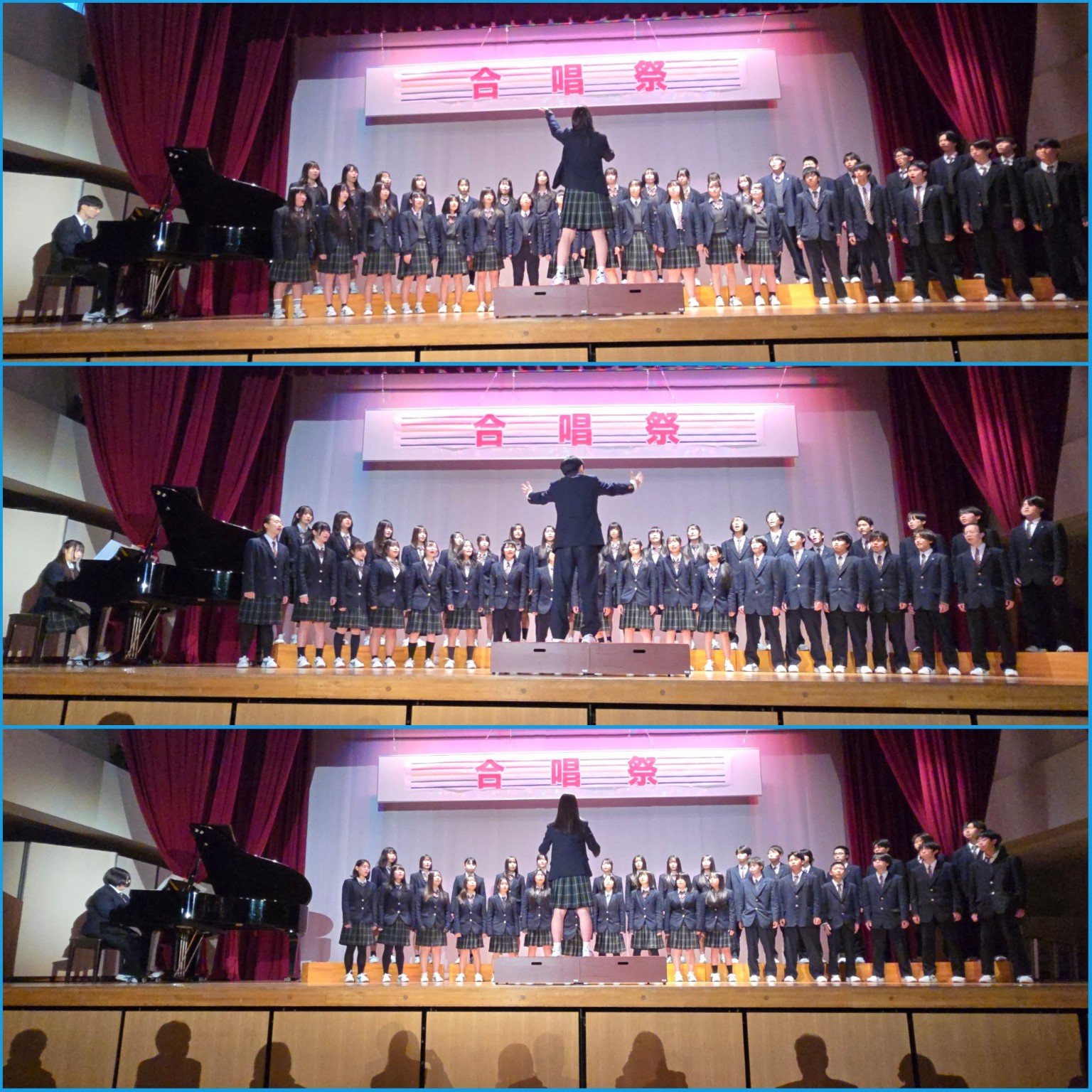 PhotoCollage_1773785798652_copy_1536x1536