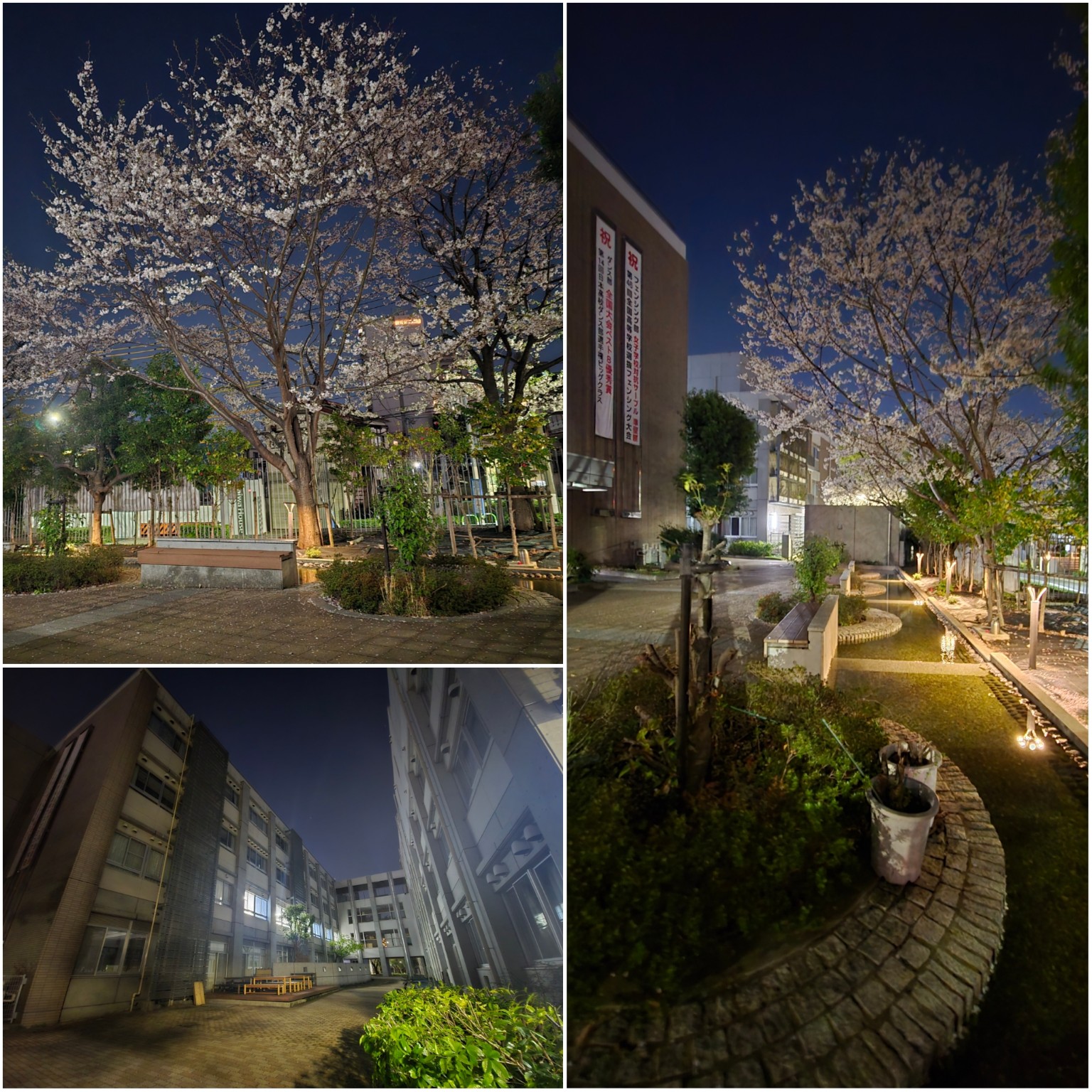 PhotoCollage_1775165036088_copy_1536x1536