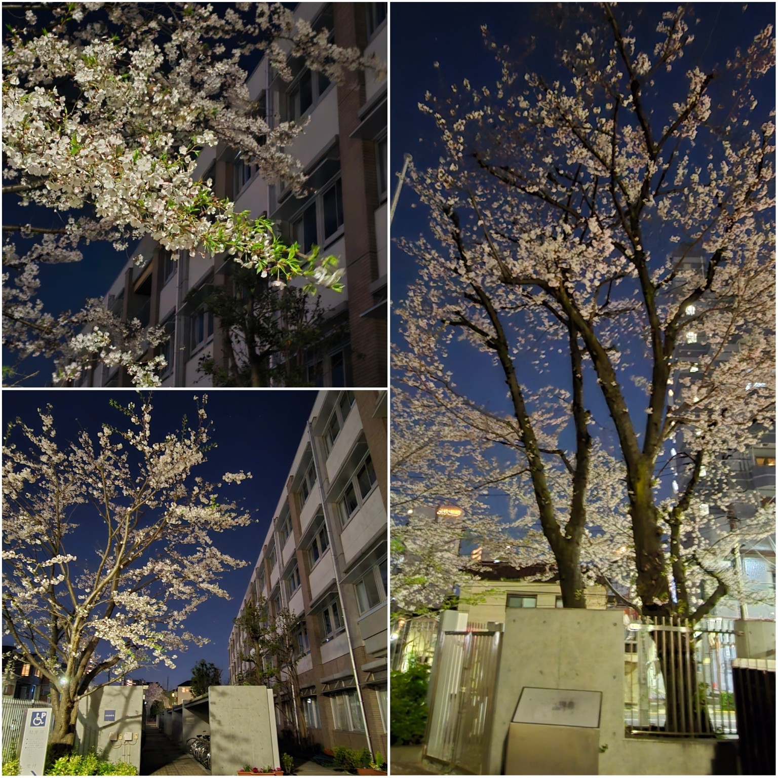 PhotoCollage_1775165126119_copy_1536x1536