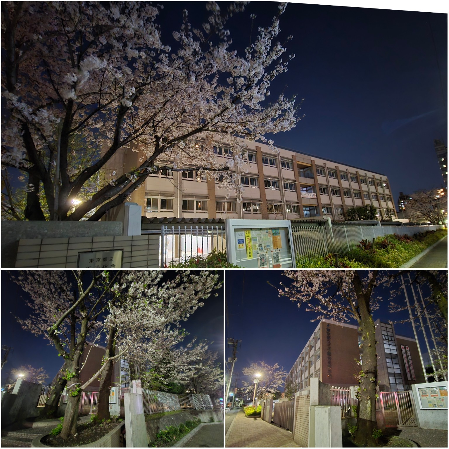 PhotoCollage_1775165310253_copy_1536x1536