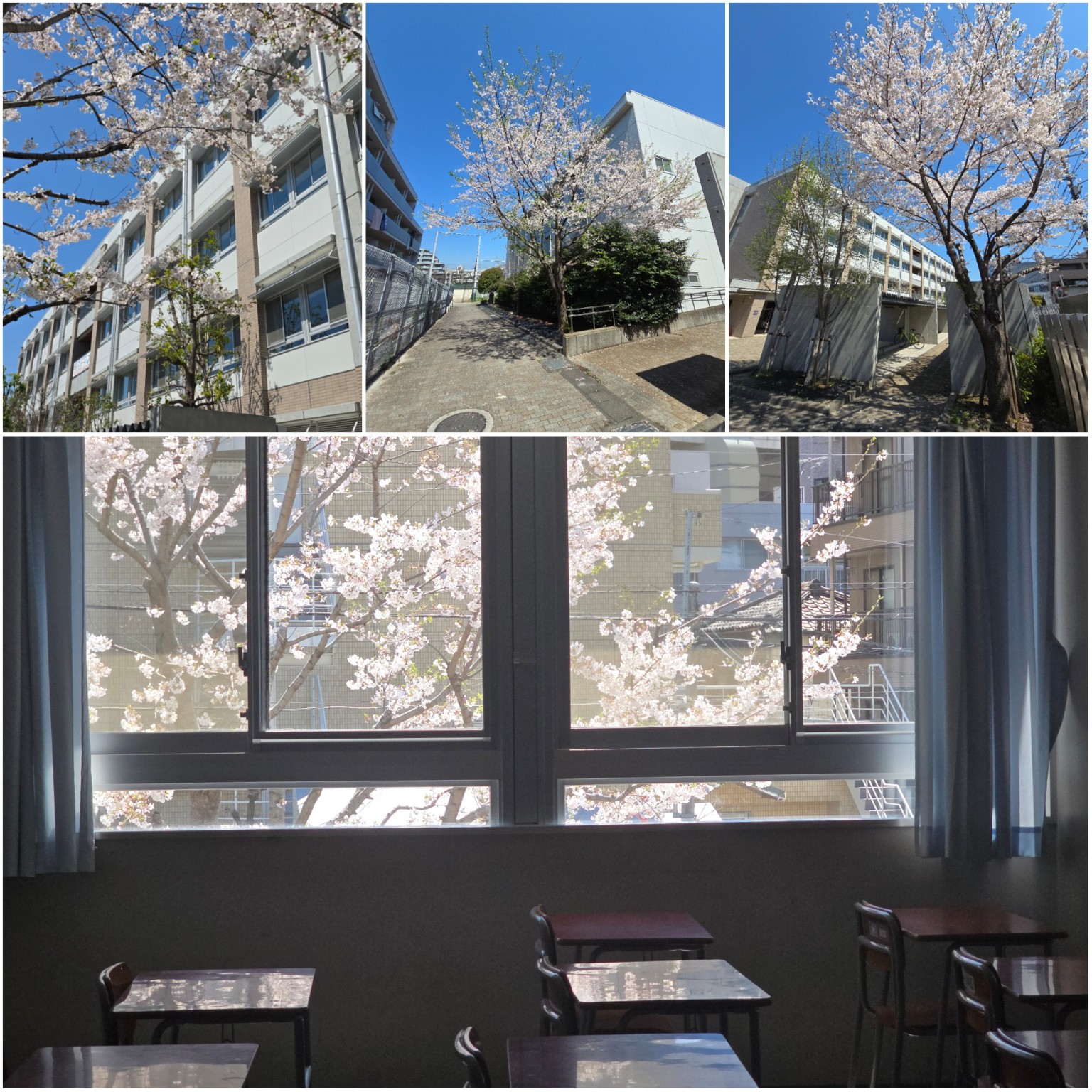 PhotoCollage_1775208577857_copy_1536x1536