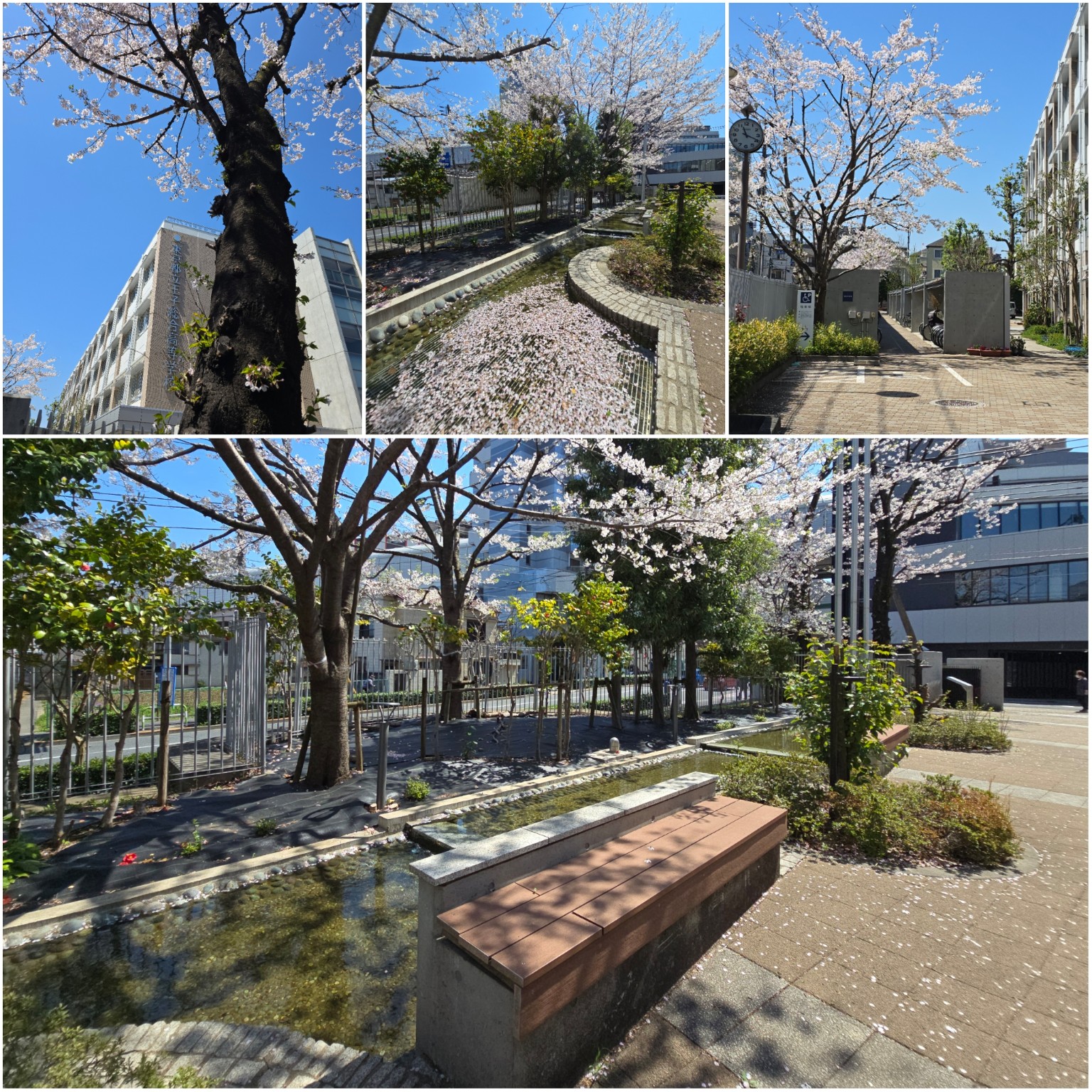 PhotoCollage_1775208743527_copy_1536x1536