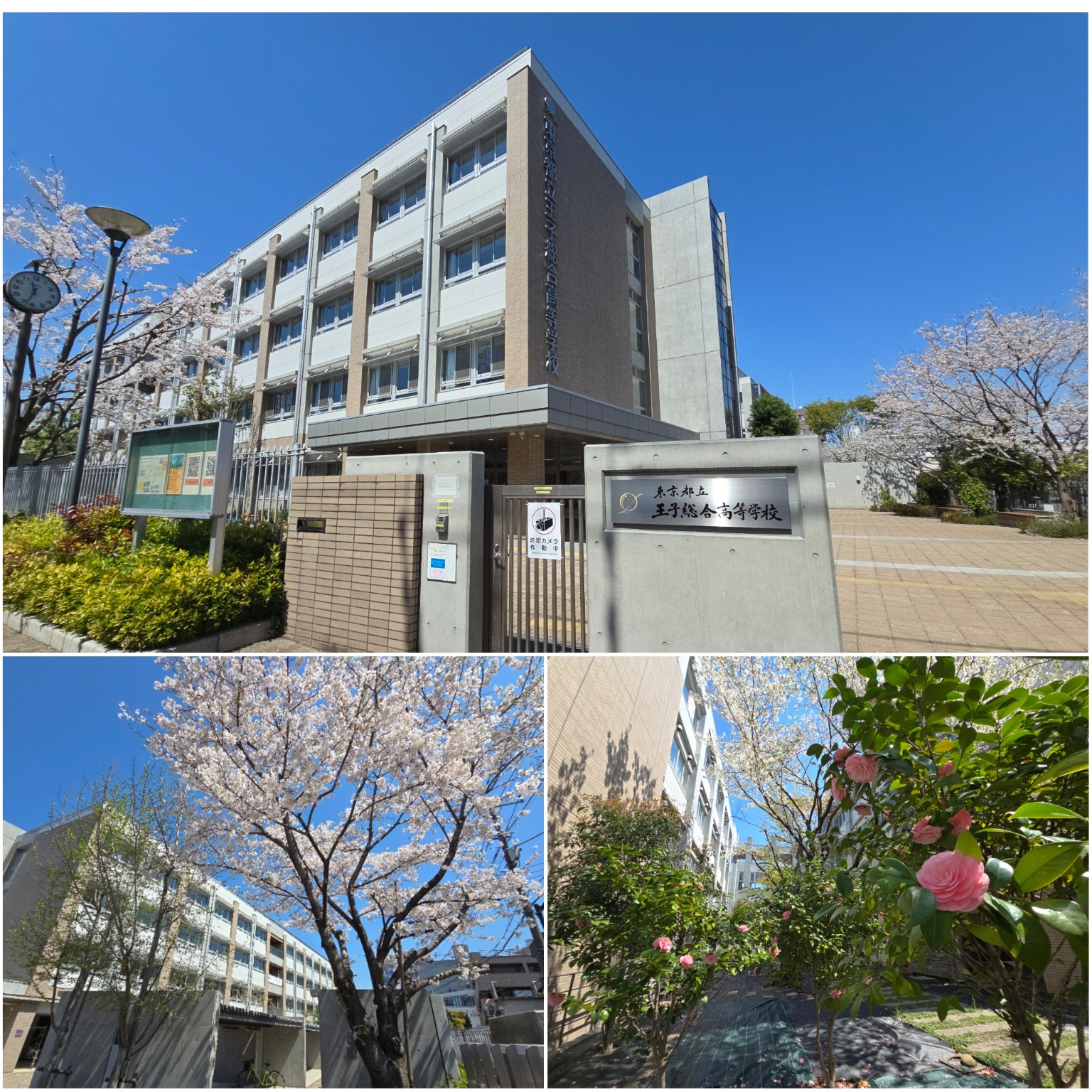 PhotoCollage_1775208827505_copy_1536x1536