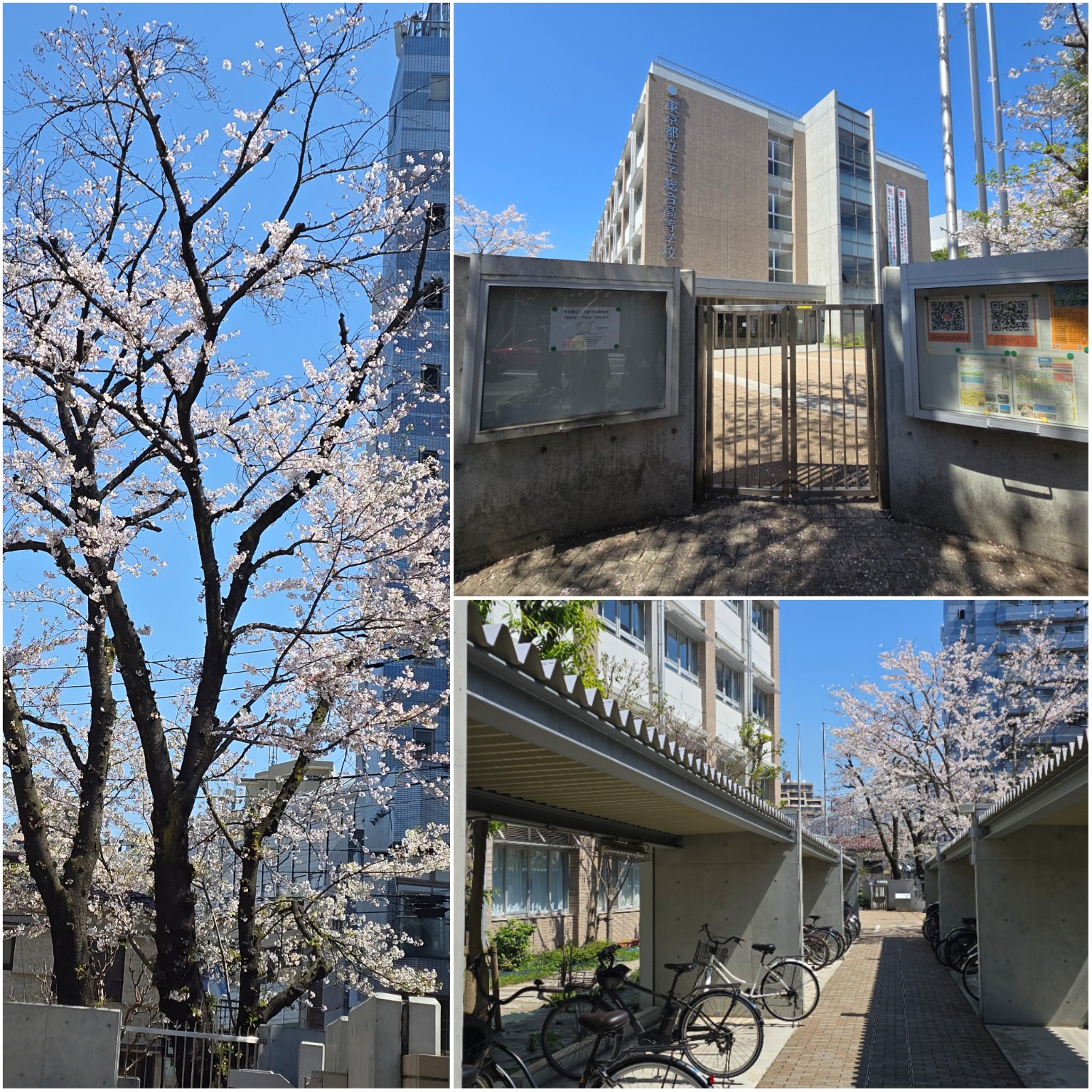 PhotoCollage_1775208965863_copy_1536x1536