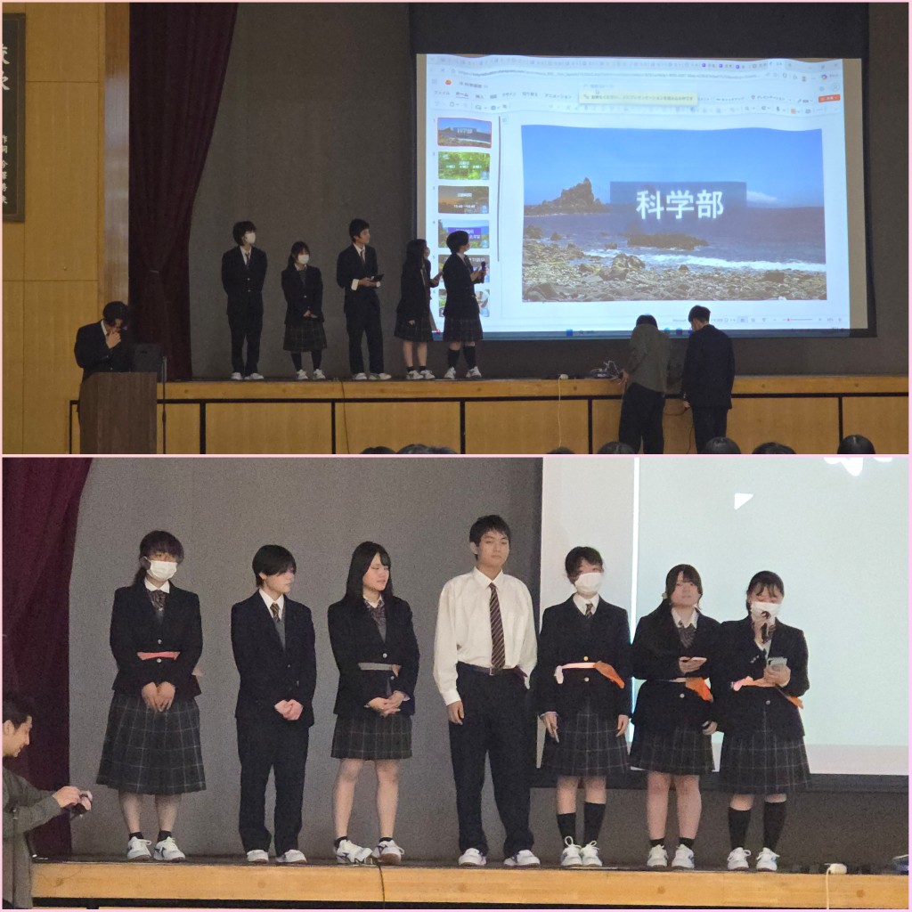 PhotoCollage_1776236334313_copy_1024x1024