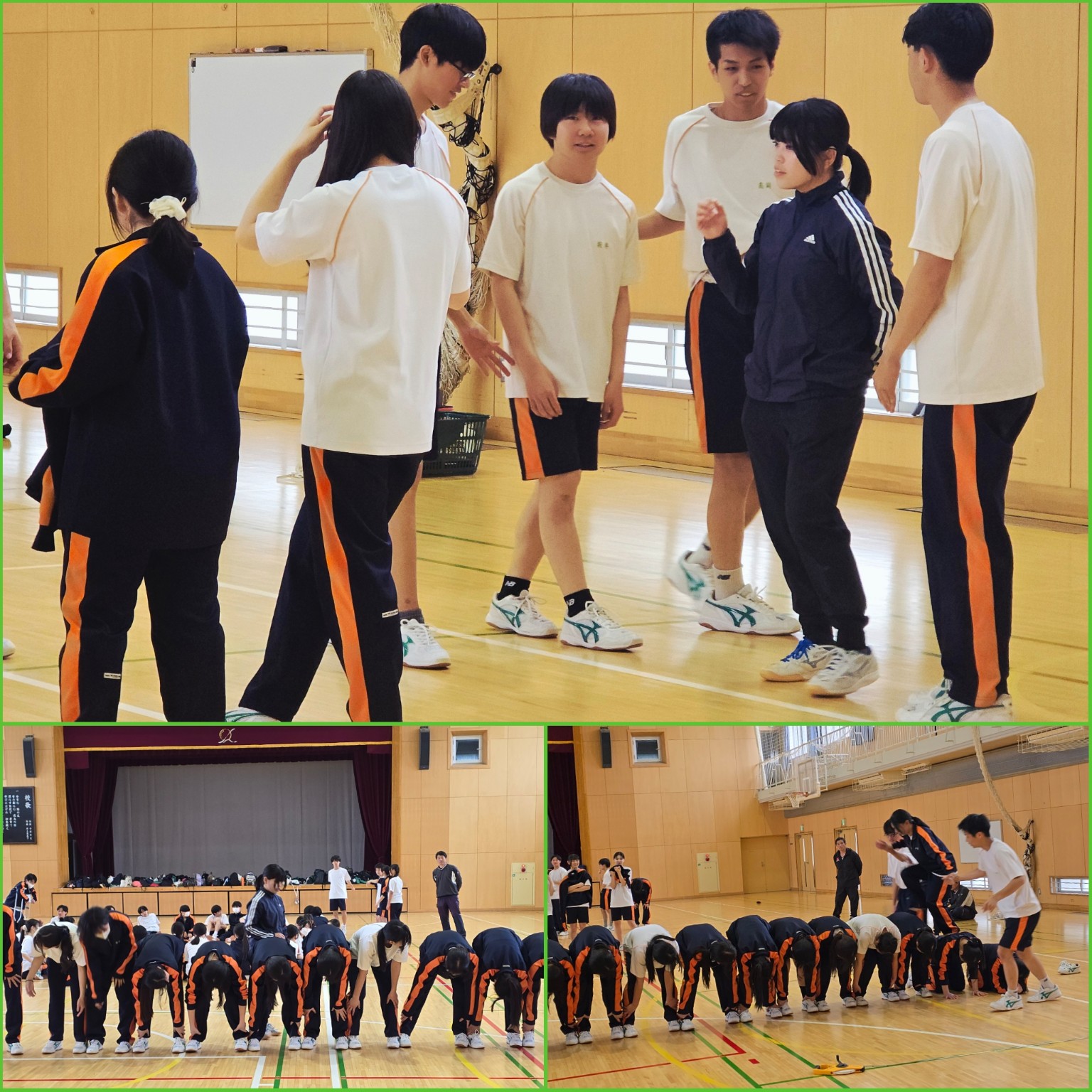 PhotoCollage_1776922728399_copy_1536x1536_1