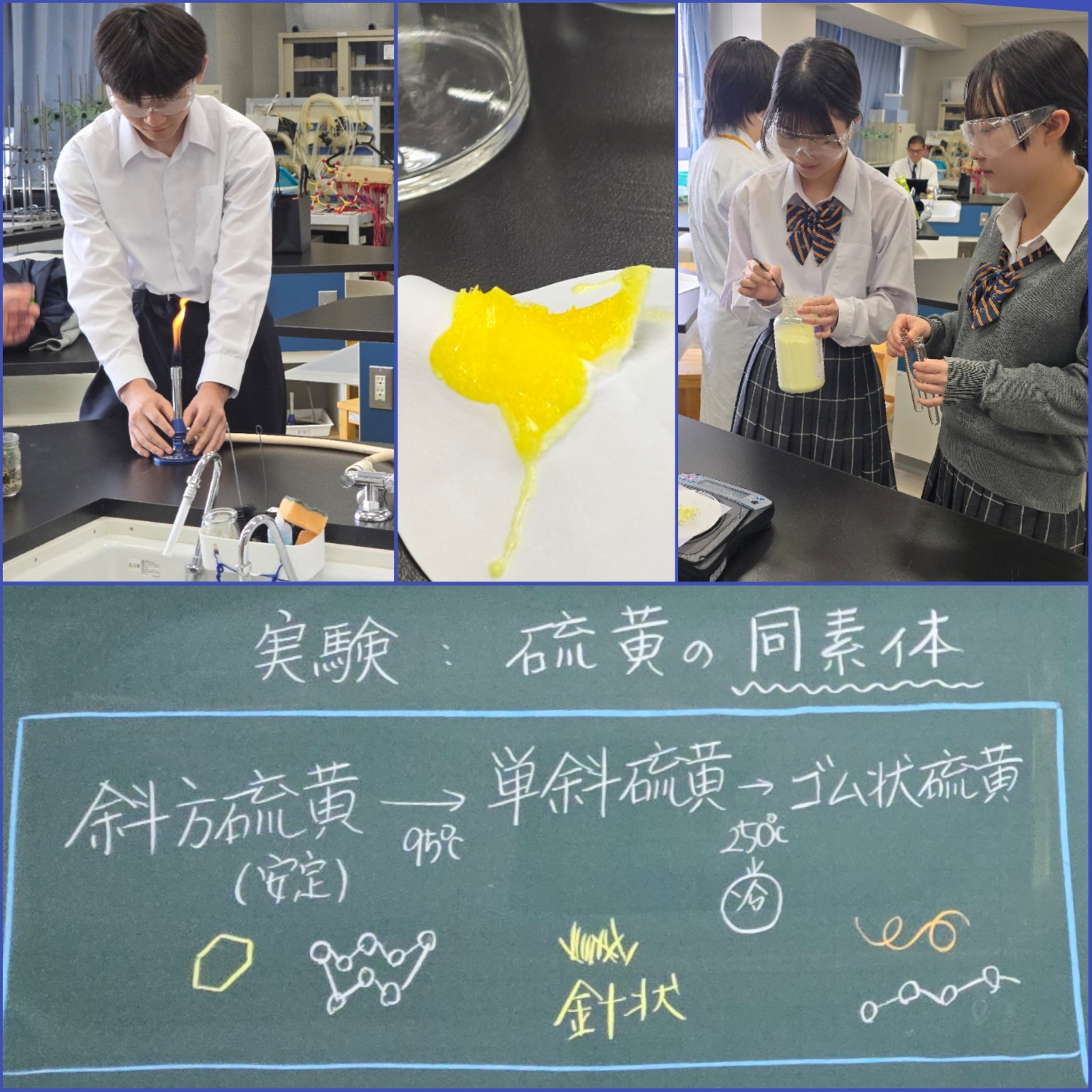 PhotoCollage_1777020026137_copy_1536x1536