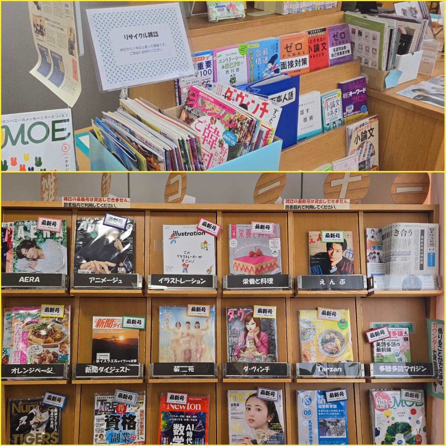 PhotoCollage_1777020928836_copy_1536x1536