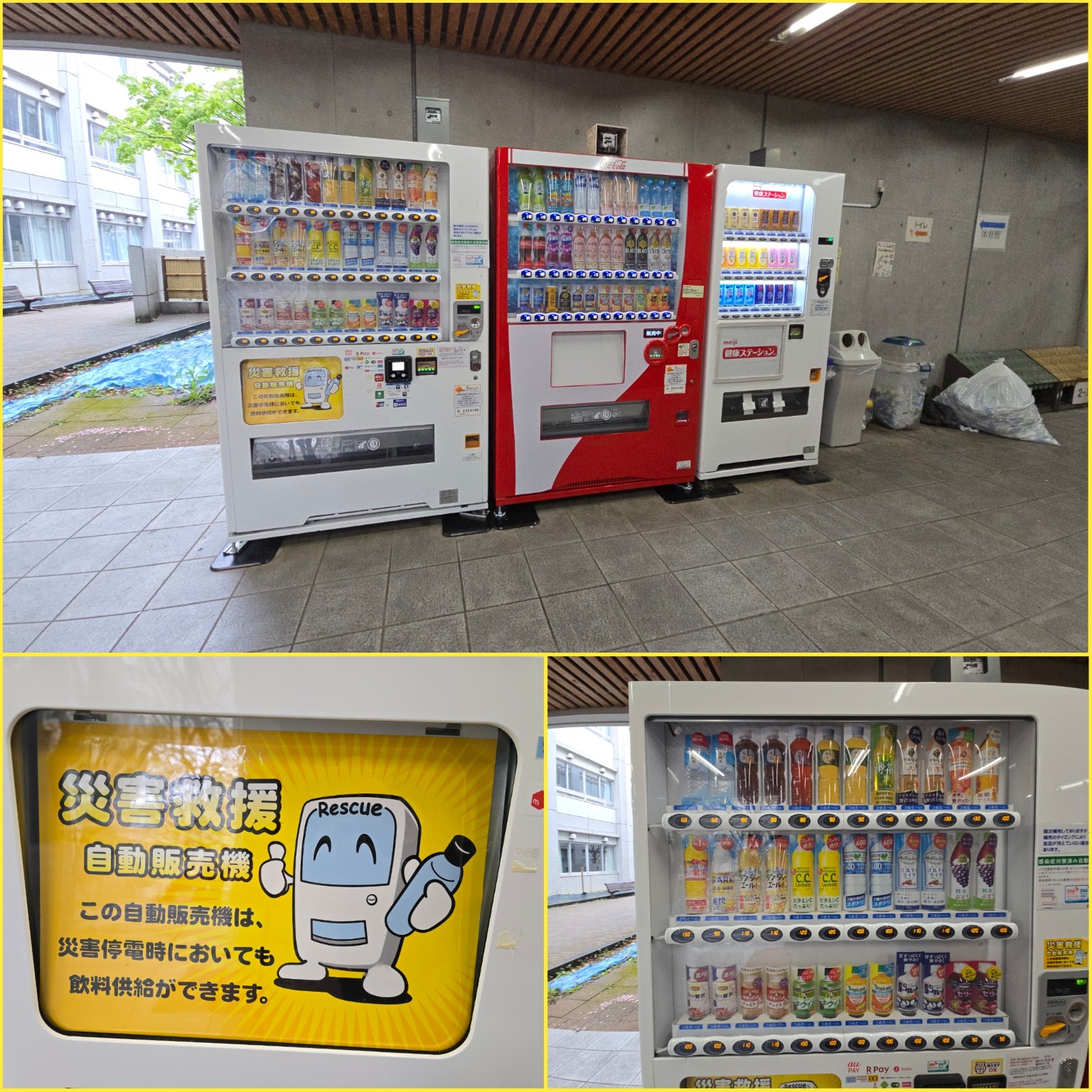 PhotoCollage_1777022373167_copy_1536x1536