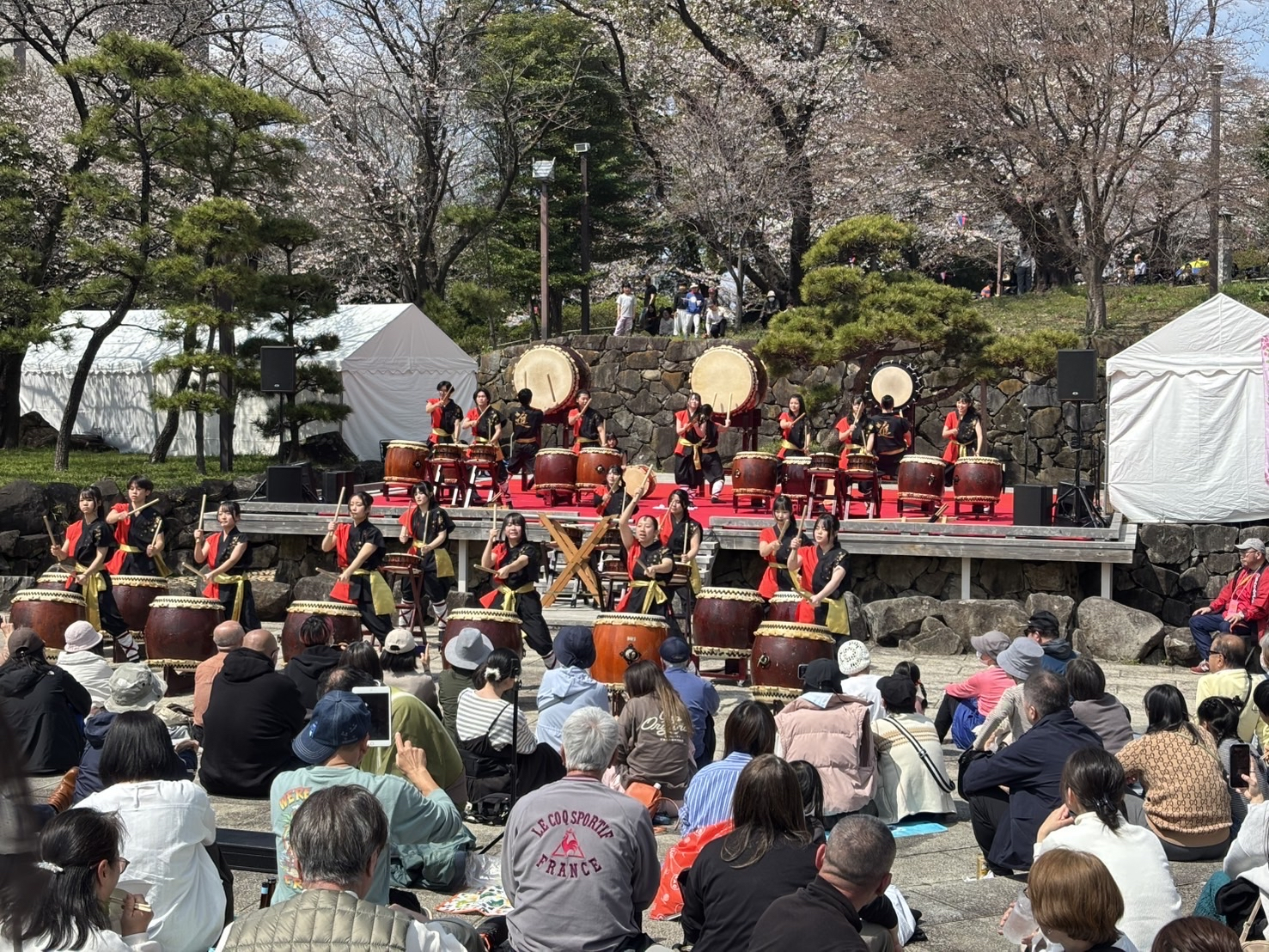 R8飛鳥山桜まつり