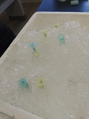 アイスボックス