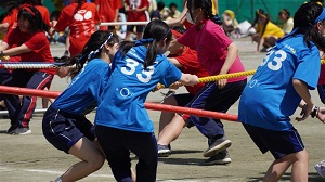 4.1