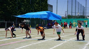 6.2