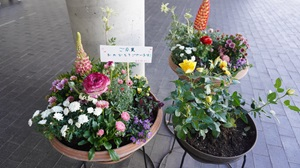 DSC00562.JPG