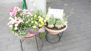 DSC01340.JPG