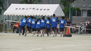 DSC01833.JPG
