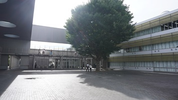 DSC02344.JPG