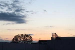 IMG_0450.JPG