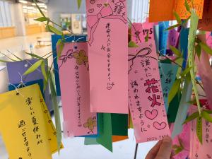 Image (5)