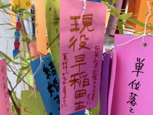 Image (6)