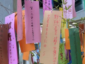 Image (7)