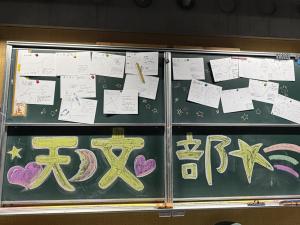 Image (15)