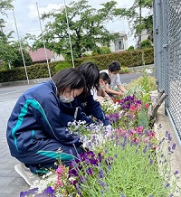 園芸