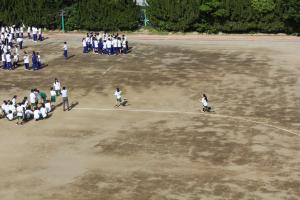 IMG_4965.JPG