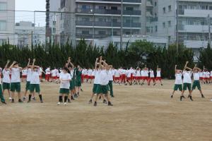 IMG_4975.JPG