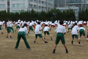 IMG_4979.JPG