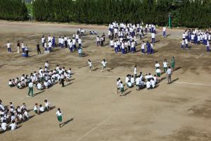 IMG_4964.JPG