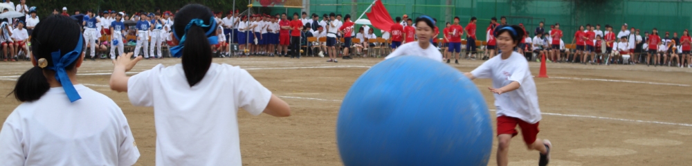 体育祭の写真