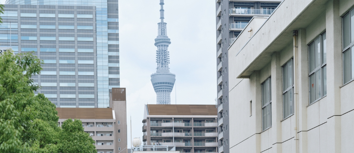 校舎とスカイツリーの写真