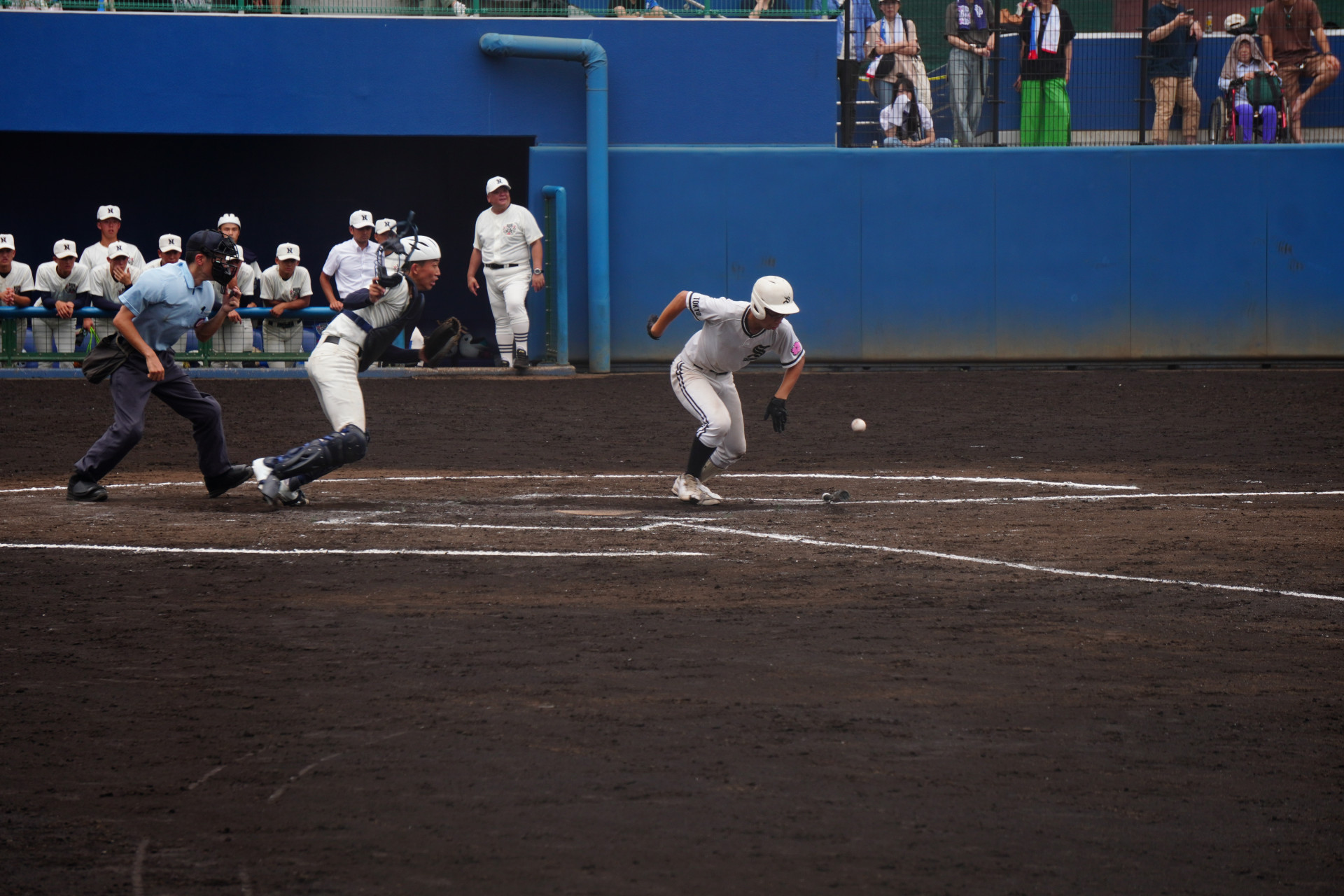 DSC00464.JPG