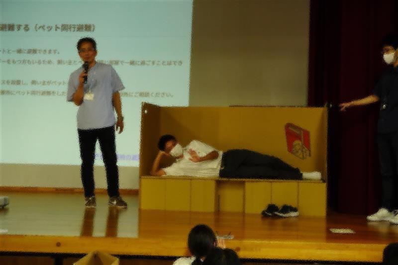 ふたば学舎（段ボールのベット）