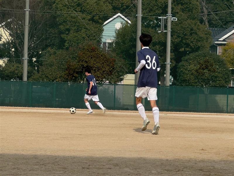 世田総①