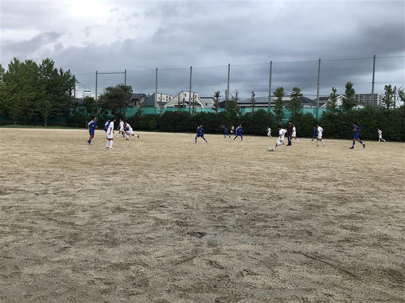 日櫻①