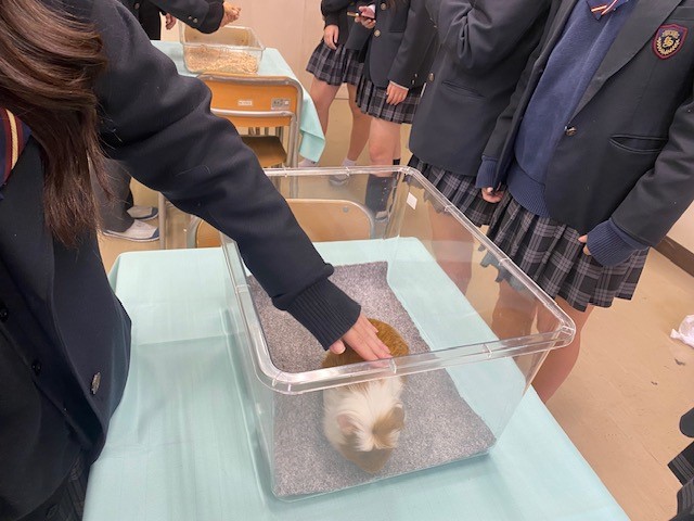 １年上級学校体験７
