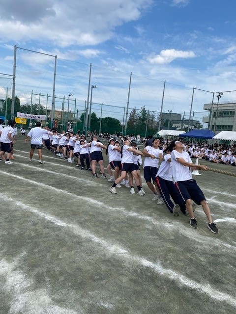 ３年綱引き