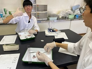 ３生物実験豚の目玉