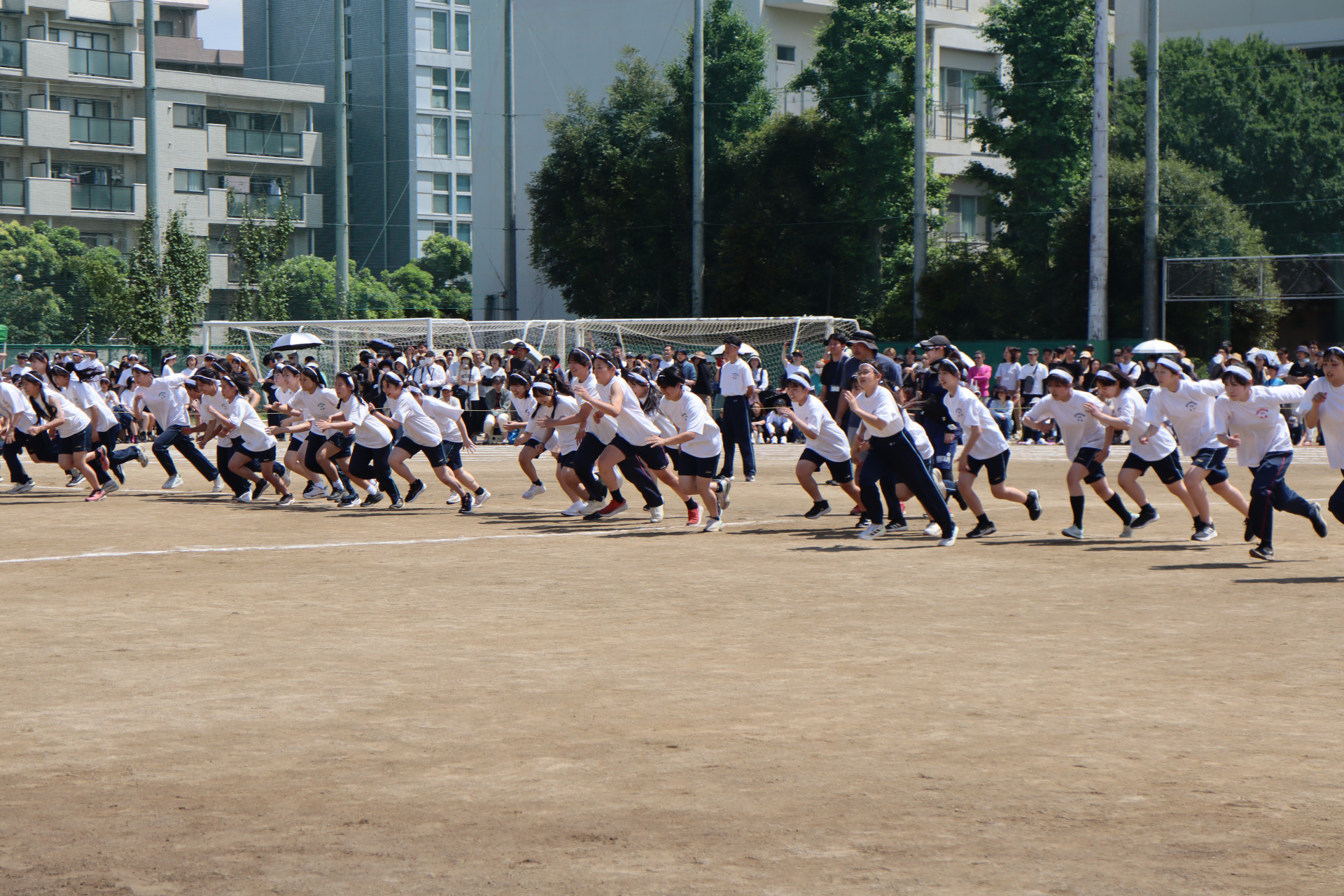 IMG_7436.JPG