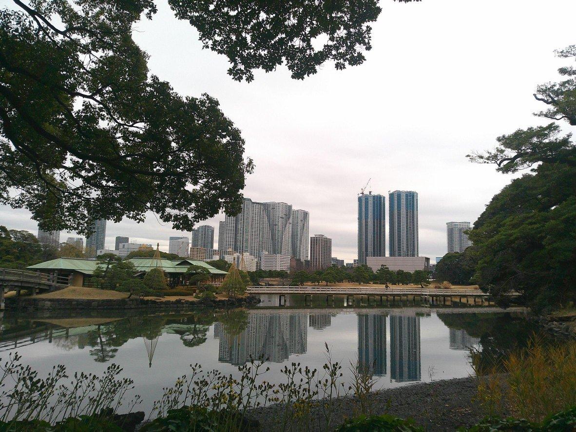 写真部‗浜離宮1